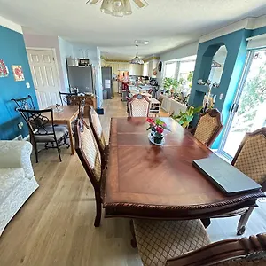 Anita's Homestay - Bedroom On Ground Floor With Backyard Is Downstairs Homestay