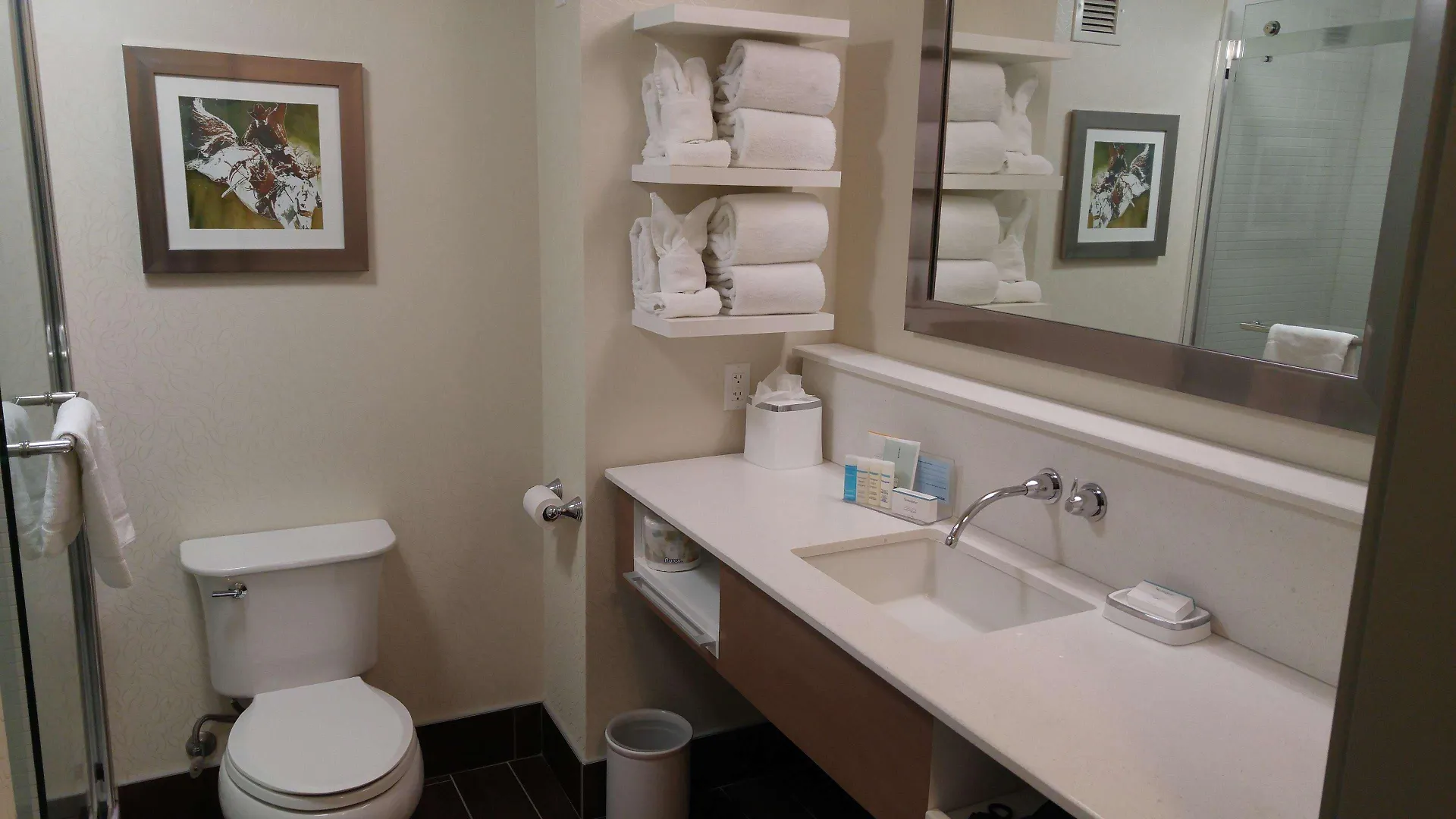 Hampton Inn & Suites By Hilton Calgary University Nw 3*,